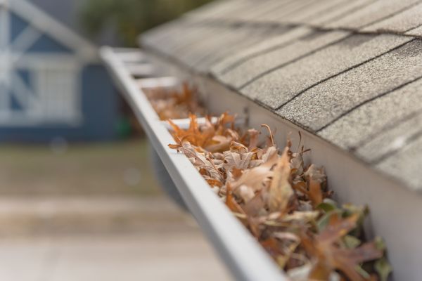 Leaf Barrier Installation in Wesley Chapel