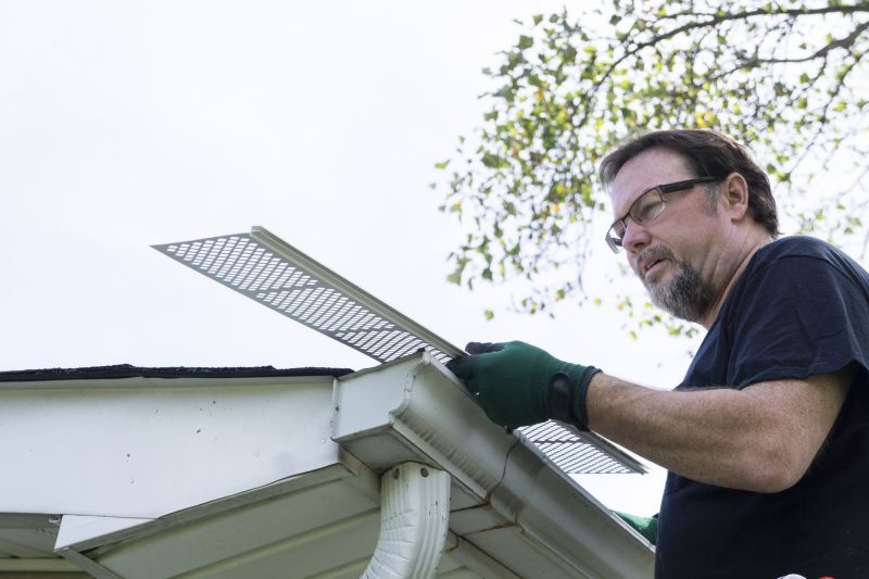 Gutter Cover Experts in Wesley Chapel